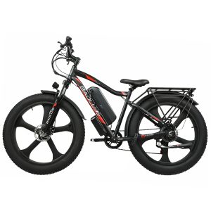 E BIKE- DP-2619 - One Wheel Model - In stock in Europe - 3-5 day delivery!