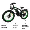 Dual Motor Electric Bike - In stock in the US, delivery time is only 3-5 days - Image 10