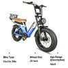 BAOLUJIE Dual Drive Dual Battery Electric Bike - In stock in Canada and Europe, 3-5 days delivery! - Image 9
