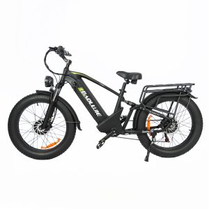 Men's 1000W Electric Bike - In stock in the US and Canada, 3-5 day shipping!