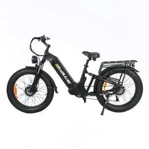Women's 1000W Electric Bike - In stock in the US and Canada, shipping in 3-5 days!