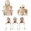 Halloween Skeleton Statue Series Don't Listen, Don't Talk, Don't Look - Image 7