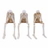 Halloween Skeleton Statue Series Don't Listen, Don't Talk, Don't Look - Image 6
