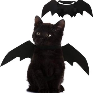 Halloween pet cat bat wings