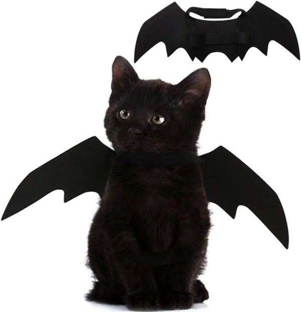 Halloween pet cat bat wings