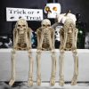 Halloween Skeleton Statue Series Don't Listen, Don't Talk, Don't Look - Image 3
