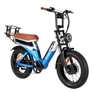 BAOLUJIE Dual Drive Dual Battery Electric Bike - In stock in Canada and Europe, 3-5 days delivery!