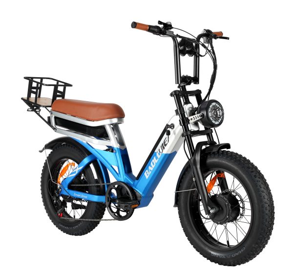 BAOLUJIE Dual Drive Dual Battery Electric Bike - In stock in Canada and Europe, 3-5 days delivery!