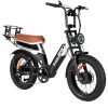 BAOLUJIE Dual Drive Dual Battery Electric Bike - In stock in Canada and Europe, 3-5 days delivery! - Image 2