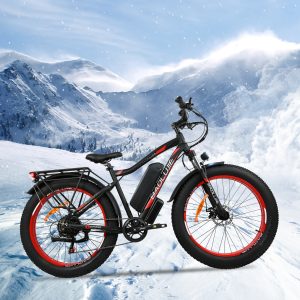 BAOLUJIE ELECTRIC E BIKE - DP-2619 - Spoke Wheel Model - In stock in Europe - 3-5 day delivery!