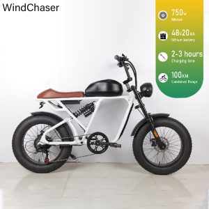 WindChaser electric bicycle features a carbon steel frame, a 750W motor, a 48v20ah lithium battery, and a disc brake system, with a maximum speed of 80 km/h.