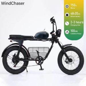 WindChaser electric bicycle features a carbon steel frame, a 750W motor, a 48v20ah lithium battery, and a disc brake system, with a maximum speed of 80 km/h.