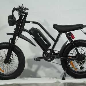 1500w Electric Bike – In Stock in the US – Shipping in 3-5 Days!