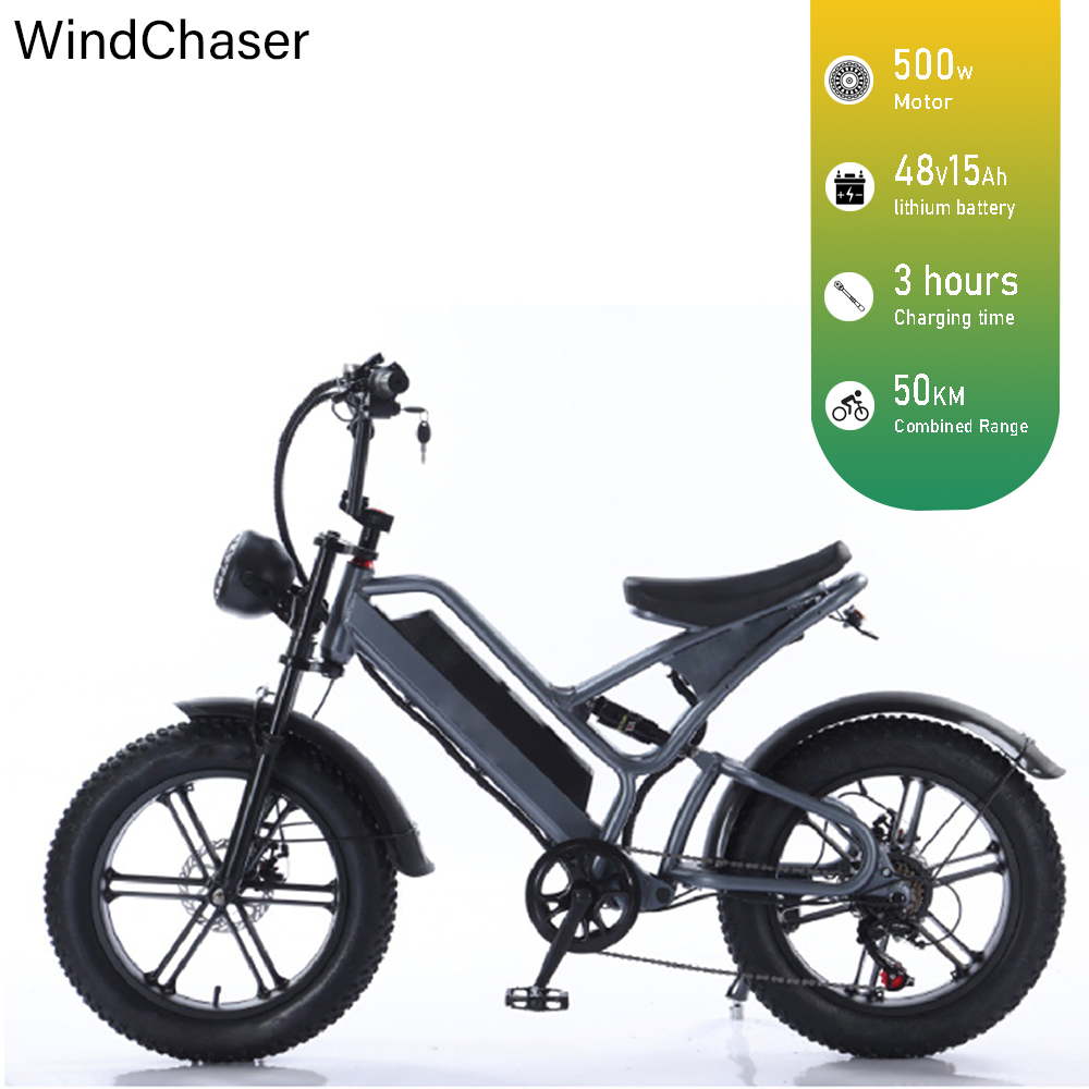 YCQD-S9 is an alloy aluminum frame e-bike born for urban speed runs and weekend street domination!